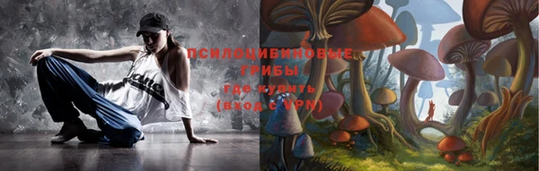 экстази Бородино