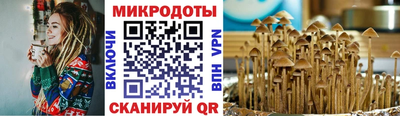 Галлюциногенные грибы мицелий Мелеуз